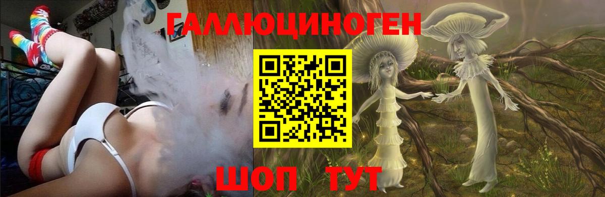 Псилоцибиновые грибы Magic Shrooms  Псилоцибиновые грибы Psilocybine cubensis  Советская Гавань  Вход с VPN 